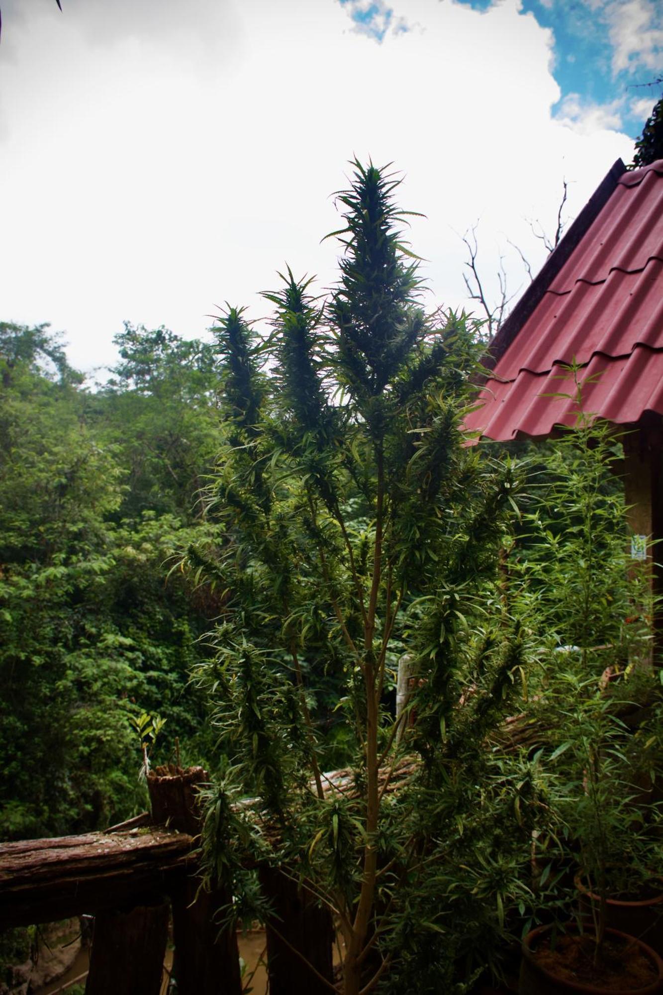 Aerie Lodge Pang Mapha Dış mekan fotoğraf